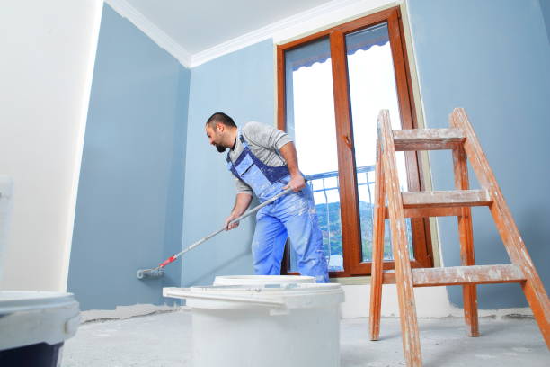 Best Mold Damage Restoration  in Pinellas Park, FL