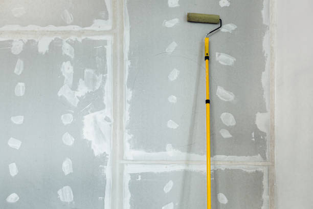  Pinellas Park, FL Mold Removal Pros