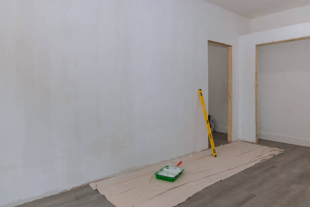 Mold Documentation for Insurance Claims in Pinellas Park, FL